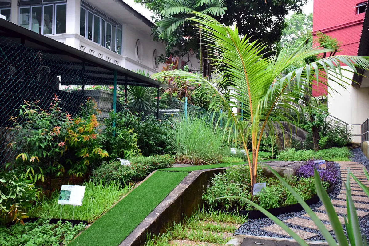 Herb garden